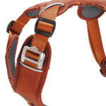 Harnais Momentum 5.0 – Image 2